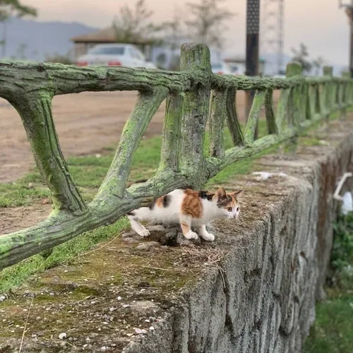 مملی اینجا چیکار میکنی🫤🤝🤣