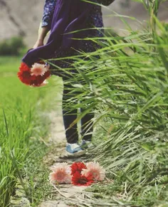 دلم‌دل‌تنگ باران‌ است