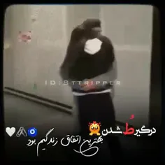 فالو کنید فالو میشید