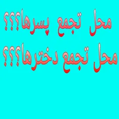 از قدیم‌ میگن زنبور دور کندو عسل‌‌ جمع میشه