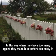 تو نروژ وقتی محصولاتشون زیاده اینجوری با بقیه تقسیمش میکن
