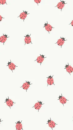 💎 #Wallpaper  🐞 #Lady_Bug