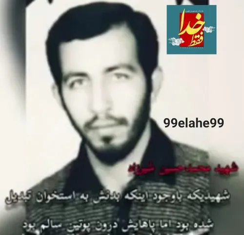 شهید محمدحسین شیرزادشهیدی است که باوجوداینکه بدنش به استخ