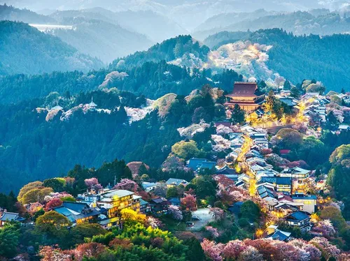 ژاپن با وجود جمعیت بالا اولین کشور دنیاست که 74 درصد پوشش