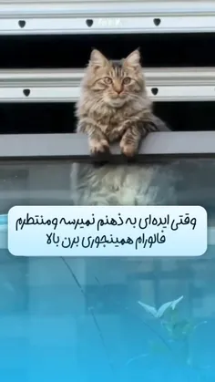 رنگ لباست میشه اسمت 