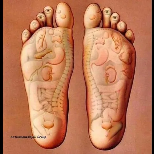 انواع نقاط بدن در پاها برای ماساژ