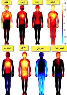 دمای بدن در حالتهای احساسی مختلف: