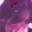 jiji_1125