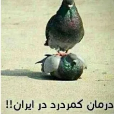 هرکی کمر درد داره بیاد جلو