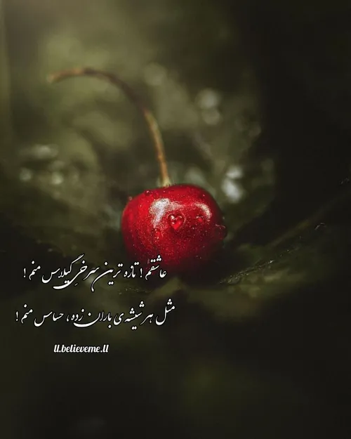 🌱🍒عاشقم! تازه ترین سرخیِ گیلاس منم!