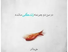 در جهانی که پر از فرضیه های شدن است واقعا سوختم و باختم و