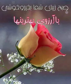 عاشقانه ها ali999999 25347954