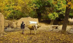 طبیعت پائیزی روستای تیدجان واقع در شهرستان توریستی خوانسا