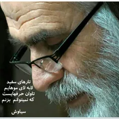 دل خود بروزگار جوانی کباب بود