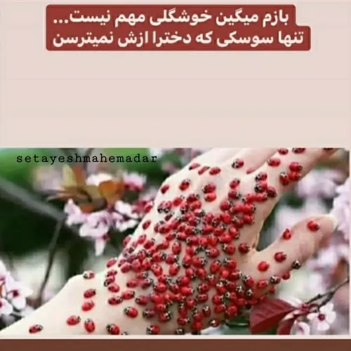 بازم میگین خوشگلی مهم نیست ...