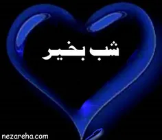 امشب کوله بار دلتنگی ام را 