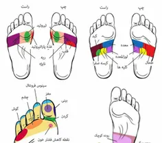 نقاطی روی پا (☝ ️) هست که بازتاب اندامهای بدنمان هستند و 