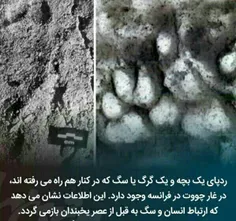 #دانستنی ها #عکس_نوشته