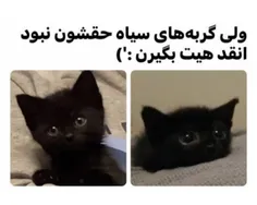 هعب🐈