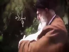 بیا برگرد