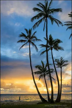 #Hawaii
