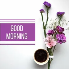 🟢 به جای Good morning(صبح بخیر)چی بگیم؟!