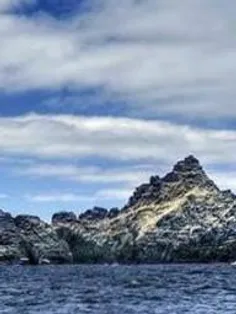 سمور جزیره ای در نزدیکی ساحل شرقی کانادا که این جزیره بدو