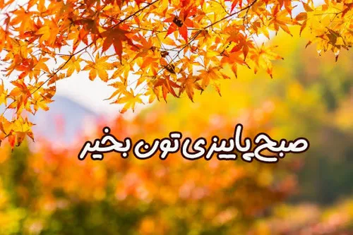 سلام صبح اولین هفته تان بخیر سلام گرم در طلوع زیبای یک صبح سرد پاییزی تقدیم شما مهربانان آرزو میکنم