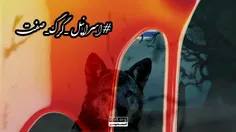 اسرائیل گرگ🐺 صفت