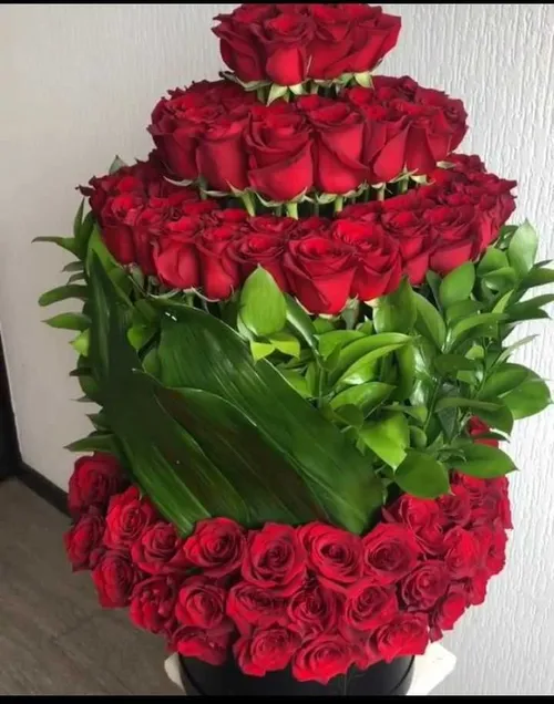 110 گل محمدی 🌹