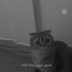 تولد دی ماهی ها مبارک❤