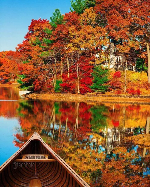 📸 تصویری زیبا از جنگل رنگارنگ دریاچه indian lake در اوهای
