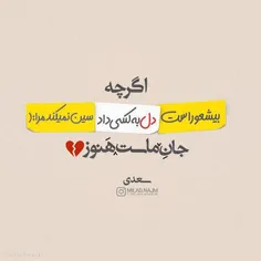 😄😄 #سعدی_جان