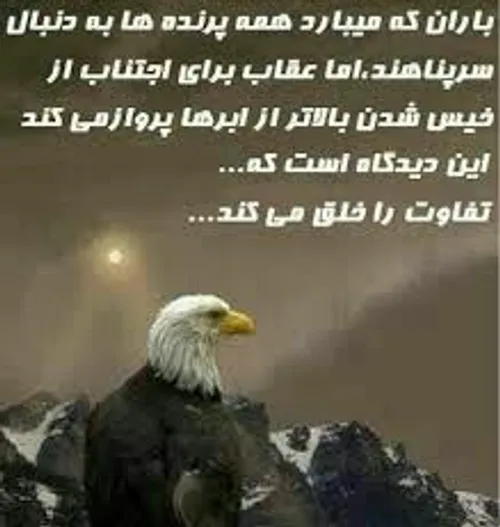 ااا