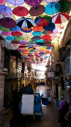 کوچه چترها به شیراز رسید