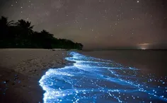 قشنگ ترین ساحل دنیا در مالدیوووووووووو