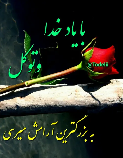 این دیوانگیست