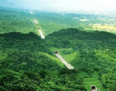 این جاده رو در#تایلند جوری ساختن که کمترین اسیب به#طبیعت 