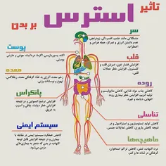 تاثیراسترس بربدن،چه میکنه این استرس