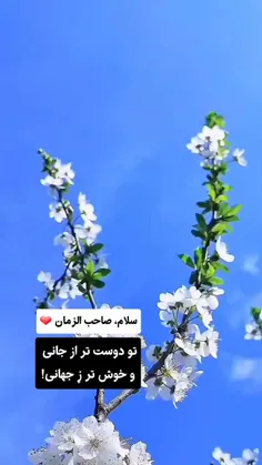 سلام و احترام صبح بخیر🌻