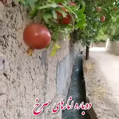 🍁به #یکشنبه ۱۴۰۰/۷/۴ خوش آمدید