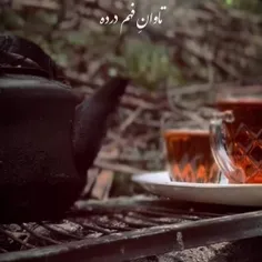 رنجِ دانستن دمار از جان انسان می کشد خوش به حال بی خیالان