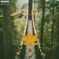 🍁 هیچ وقت به خودت مغرور نشو🍂 