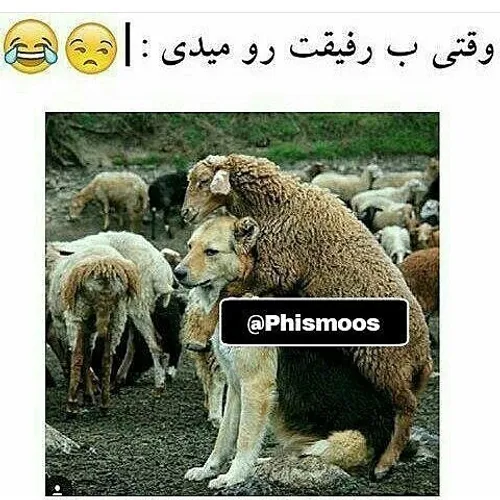 خخخخخ دقیقا