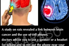 مطالعه ای روی موش ها نشان داد که بین استفاده از#تلفن_همرا