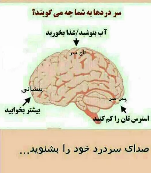 سر دردها به شما چه میگویند ؟ ☺ ️☺ ️☺ ️ بخون