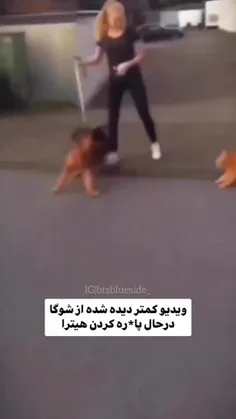 ۱۵ روز دیگه تو به دنیا میای مین یونگی💜✨️🫂🇰🇷🐱