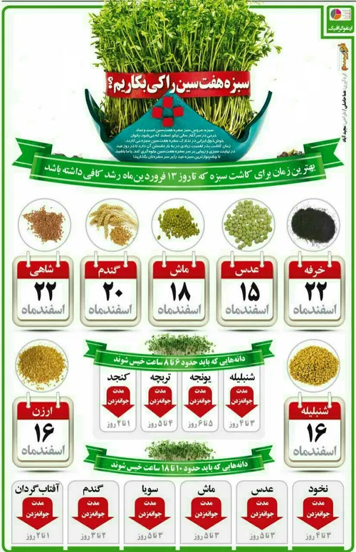 زمان کاشت سبزه هفت سین