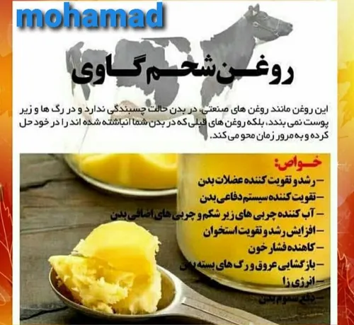 عکس خبری m.ravatangmailcom 28533336 - عکس ویسگون