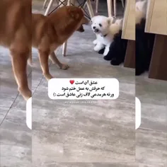 اخی🥺✨